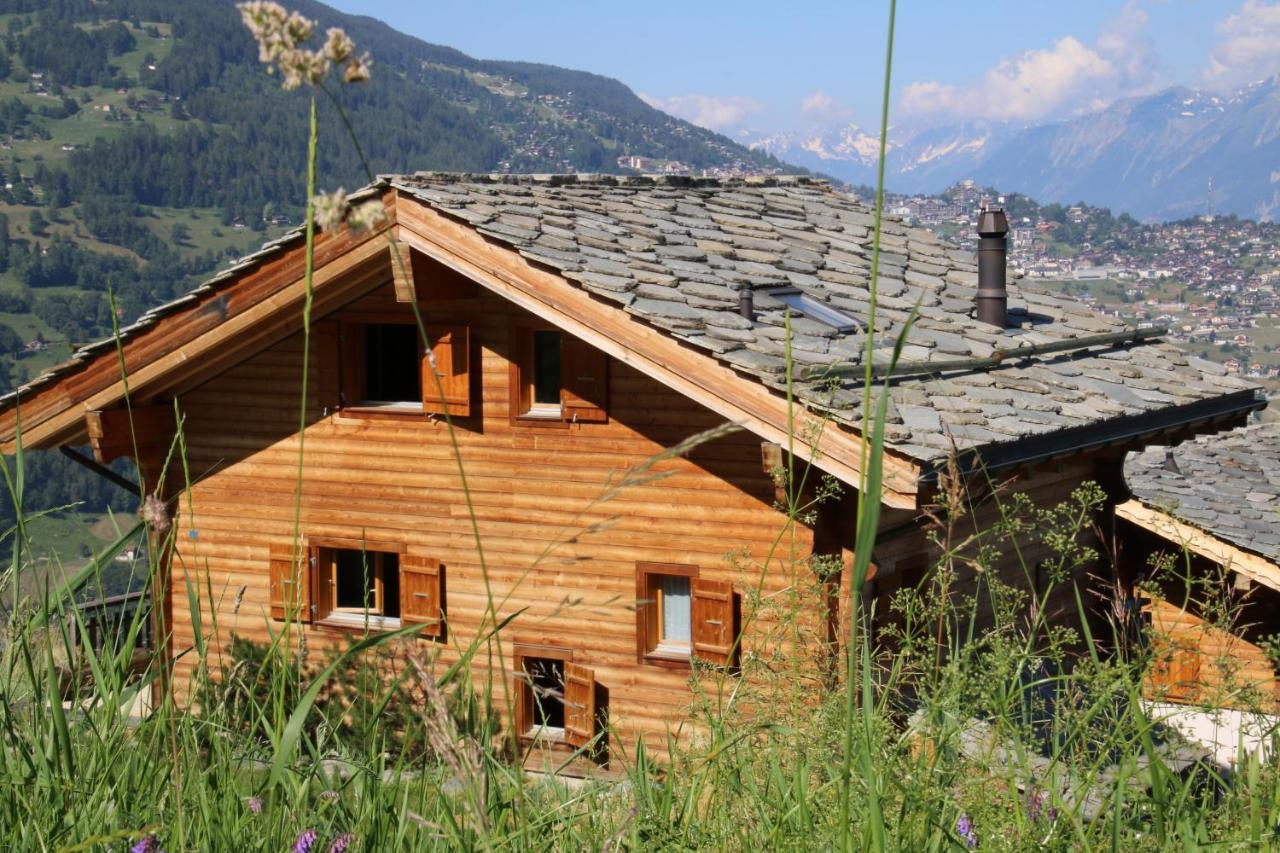 Christoph Standing & Calm Chalet 10 Pers By Alpvision Residences 베이소나츠 외부 사진